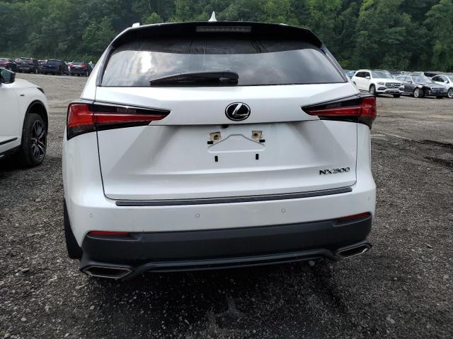 JTJDARDZ0M5026731 - 2021 LEXUS NX 300 BASE Beyaz fotoğraf 6