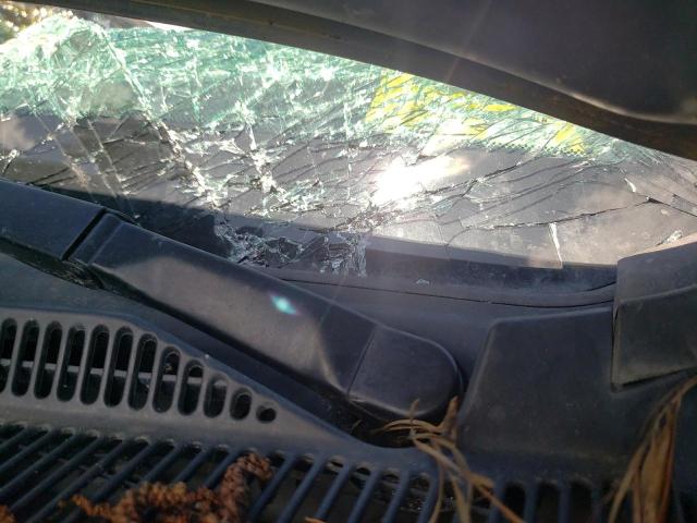 5TEJU62N78Z529560 - 2008 TOYOTA TACOMA DOUBLE CAB PRERUNNER SILVER photo 13