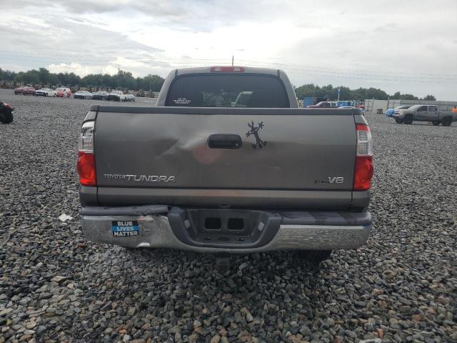 5TBET34164S437045 - 2004 TOYOTA TUNDRA DOUBLE CAB SR5 GRAY photo 6