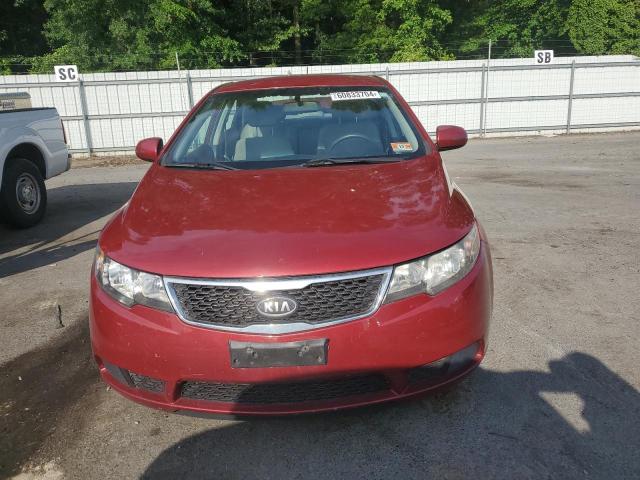 KNAFU4A26B5453872 - 2011 KIA FORTE EX RED photo 5