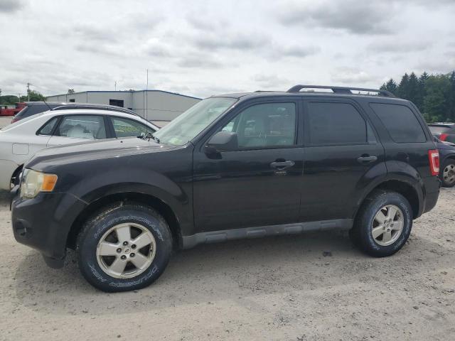 2010 FORD ESCAPE XLT, 