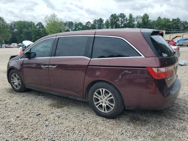 5FNRL5H61CB103101 - 2012 HONDA ODYSSEY EXL 勃艮第红 照片 2