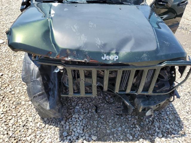 1J4PN3GK9AW161481 - 2010 JEEP LIBERTY RENEGADE 绿色 照片 12