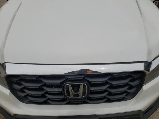 5FNYF8H51PB033343 - 2023 HONDA PASSPORT EXL Beyaz fotoğraf 12