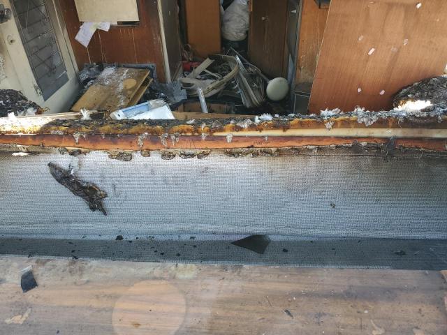 I262T306 - 1962 AIRS TRAILER 银色 照片 8