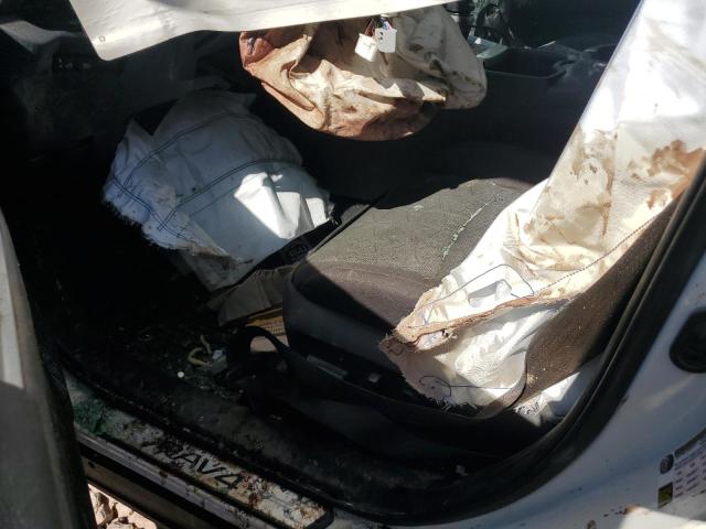 2T3P1RFV7RC413630 - 2024 TOYOTA RAV4 XLE თეთრი ფოტო 8