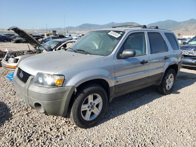 2006 FORD ESCAPE HEV, null