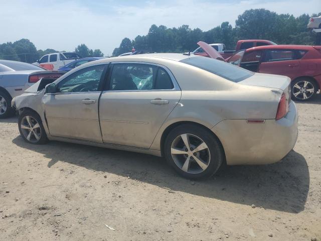 1G1ZC5EB1AF264812 - 2010 CHEVROLET MALIBU 1LT 棕色 照片 2