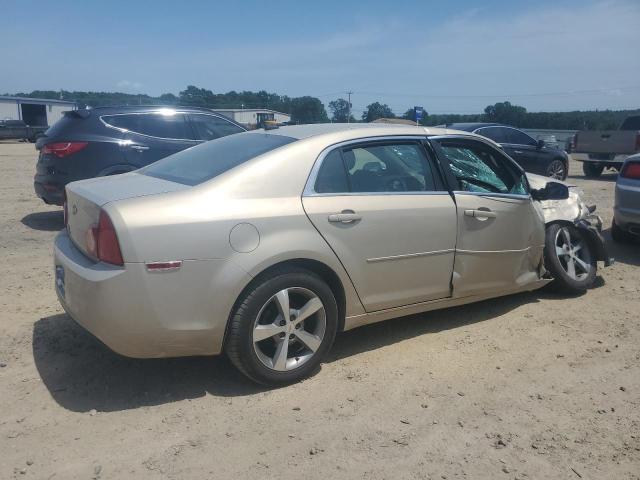 1G1ZC5EB1AF264812 - 2010 CHEVROLET MALIBU 1LT 棕色 照片 3