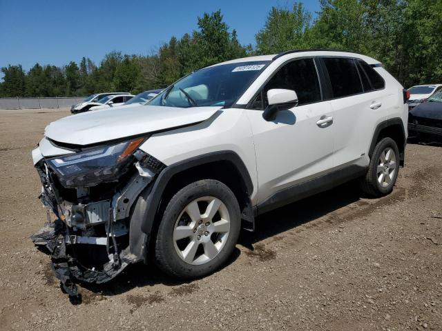 2023 TOYOTA RAV4 XLE, 