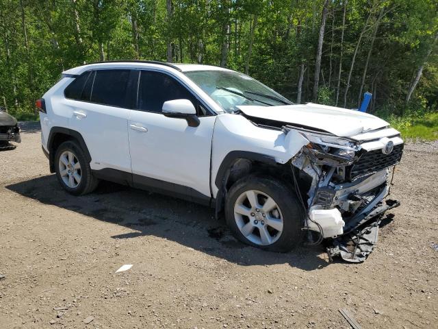 2T3RWRFV6PW169667 - 2023 TOYOTA RAV4 XLE 白色 照片 4