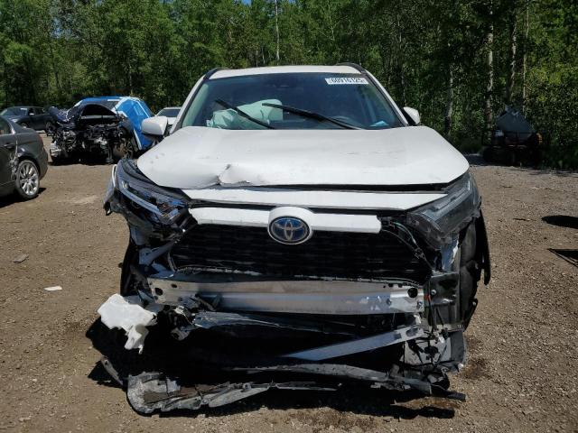 2T3RWRFV6PW169667 - 2023 TOYOTA RAV4 XLE 白色 照片 5