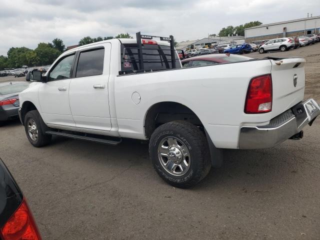 3C6TR5DT5GG378848 - 2016 RAM 2500 SLT თეთრი ფოტო 2