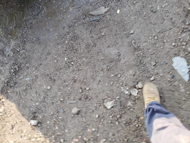 1G11C5SL4EF239113 - 2014 CHEVROLET MALIBU 1LT 银色 照片 3