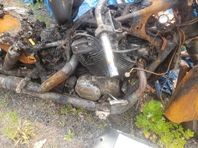 1HFSC3906XA103163 - 1999 HONDA VT1100 C3 BURN photo 7