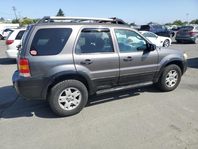 1FMYU03145KA90367 - 2005 FORD ESCAPE XLT Grau Foto 3
