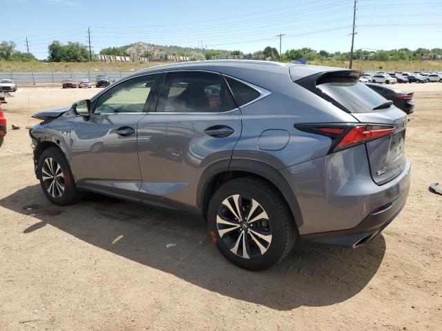 JTJBARBZ5J2165342 - 2018 LEXUS NX 300 BASE Boz foto 2