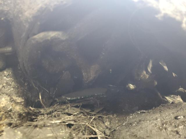 1G11F5SL8FF344102 - 2015 CHEVROLET MALIBU LTZ Bordo foto 9