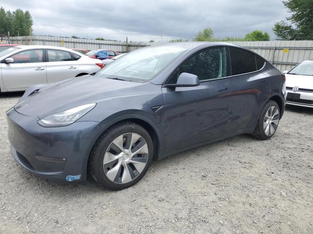 2021 TESLA MODEL Y, null