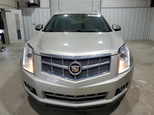 3GYFNDE38DS562419 - 2013 CADILLAC SRX PERFORMANCE COLLECTION Beżowy zdjęcie 5