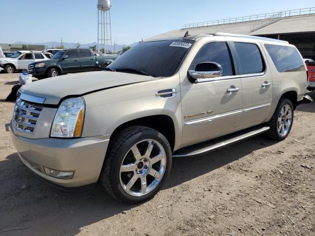 1GYFK668X7R312170 - 2007 CADILLAC ESCALADE ESV TAN photo 1