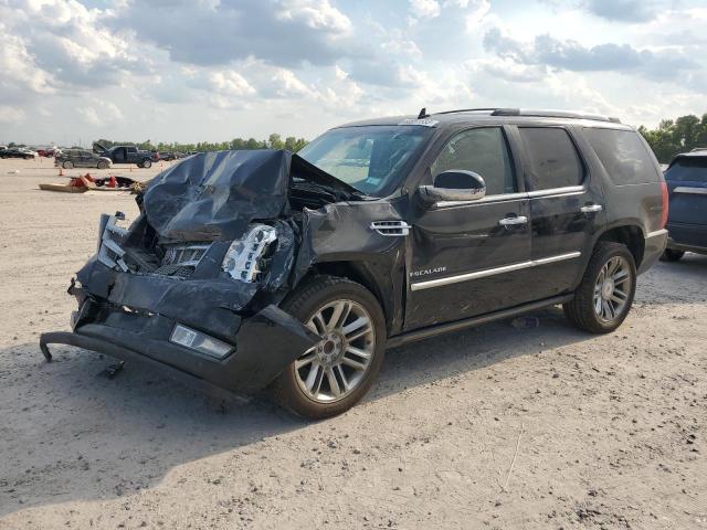 1GYS3DEF4DR154100 - 2013 CADILLAC ESCALADE PLATINUM BLACK photo 1