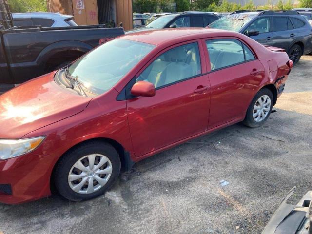 2T1BU40E89C160422 - 2009 TOYOTA COROLLA BASE Қызыл фото 10