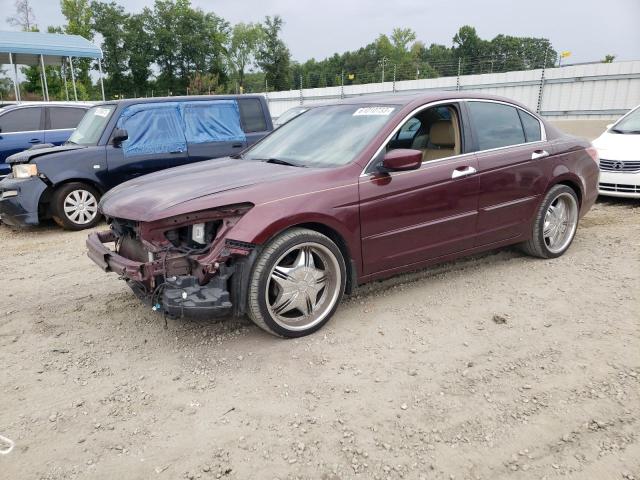 1HGCP36878A008708 - 2008 HONDA ACCORD EXL BURGUNDY photo 1