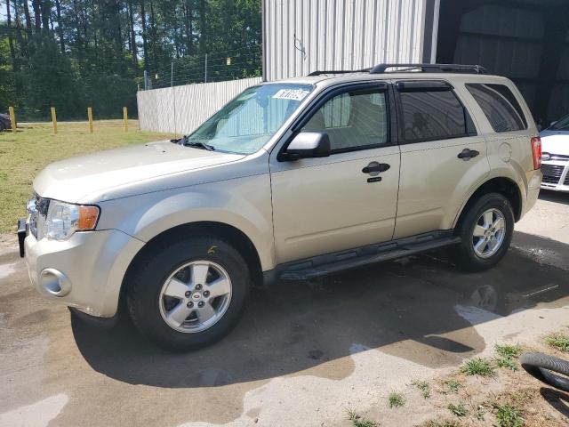 1FMCU0D76CKC51148 - 2012 FORD ESCAPE XLT BEIGE photo 1