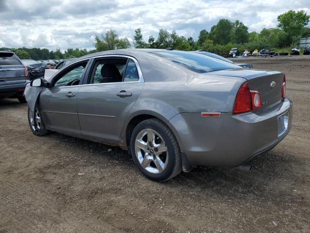 1G1ZC5EB9A4118301 - 2010 CHEVROLET MALIBU 1LT TAN photo 2