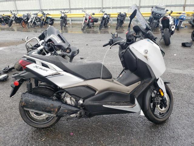 2024 YAMAHA CZD300 A, null