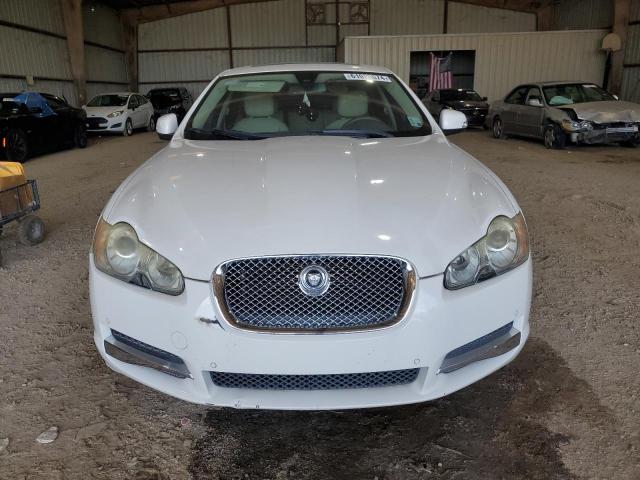 SAJWA06B69HR42893 - 2009 JAGUAR XF PREMIUM LUXURY WHITE photo 5