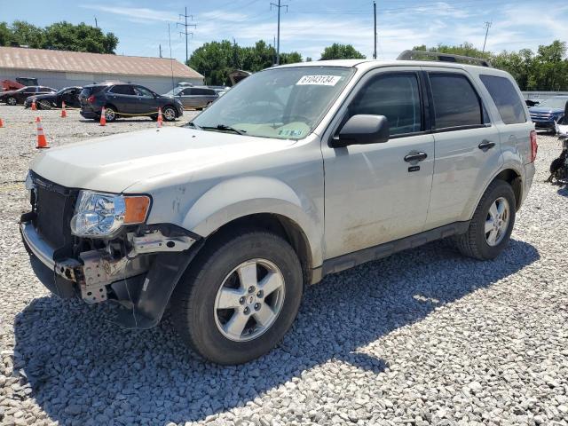 2009 FORD ESCAPE XLT, 