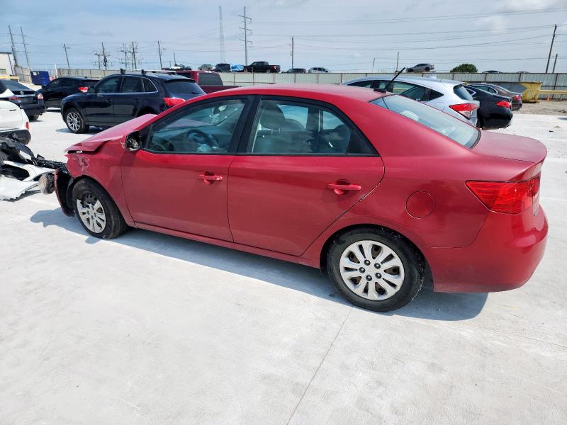 KNAFU4A20D5737209 - 2013 KIA FORTE EX წითელი ფოტო 2