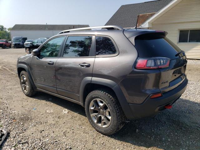 1C4PJMBX4KD384664 - 2019 JEEP CHEROKEE TRAILHAWK GRAY photo 2