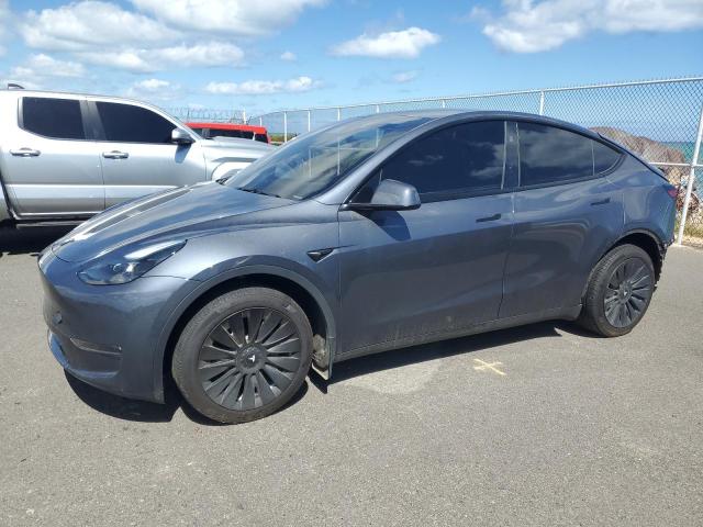 2023 TESLA MODEL Y, 
