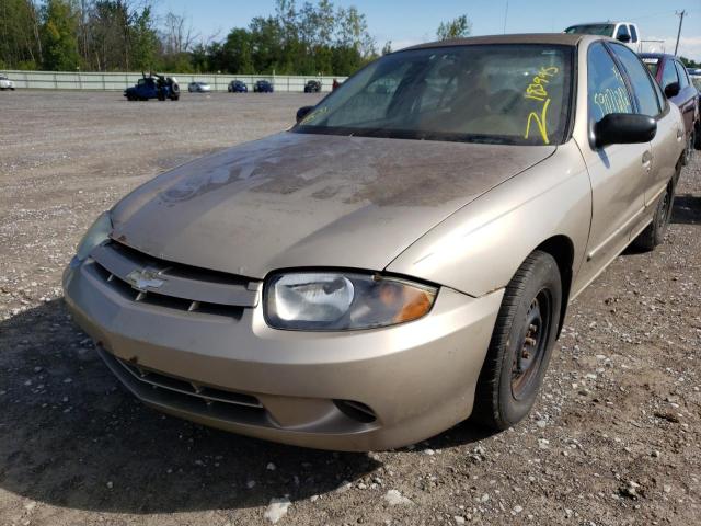 1G1JC52F637346374 - 2003 CHEVROLET CAVALIER TAN photo 2