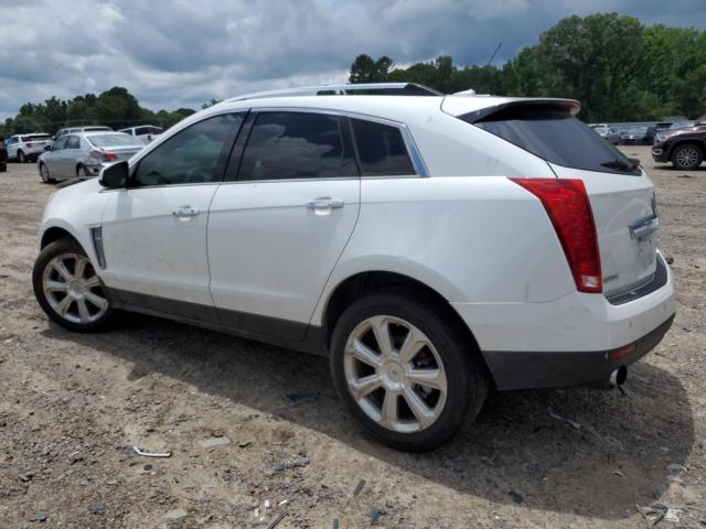3GYFNDE35DS529488 - 2013 CADILLAC SRX PERFORMANCE COLLECTION Սպիտակ լուսանկար 2