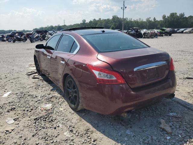 1N4AA51E59C839586 - 2009 NISSAN MAXIMA S RED photo 2