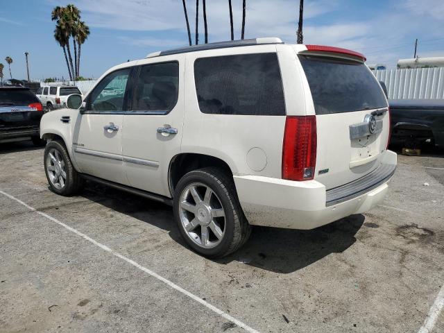 1GYUKCEF3AR251726 - 2010 CADILLAC ESCALADE PREMIUM WHITE photo 2