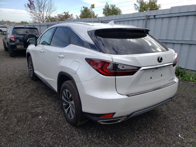 2T2HZMDA2LC245956 - 2020 LEXUS RX 350 WHITE photo 3