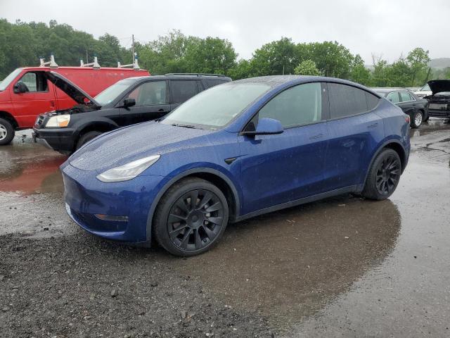 2021 TESLA MODEL Y, null