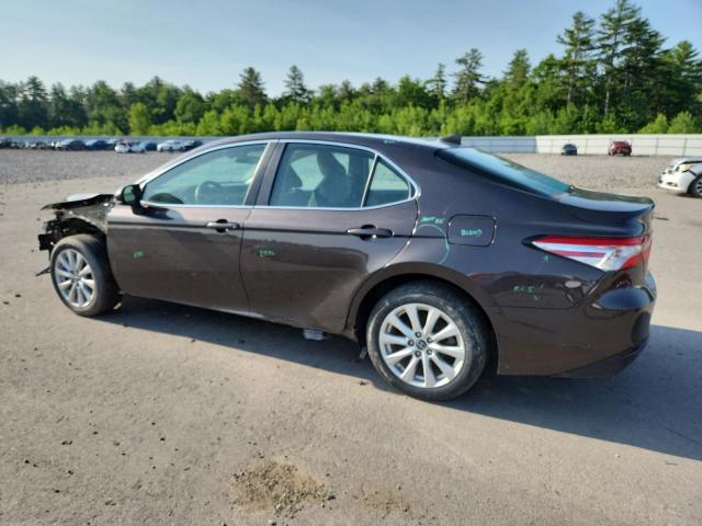 4T1B11HKXKU833247 - 2019 TOYOTA CAMRY L BROWN photo 2