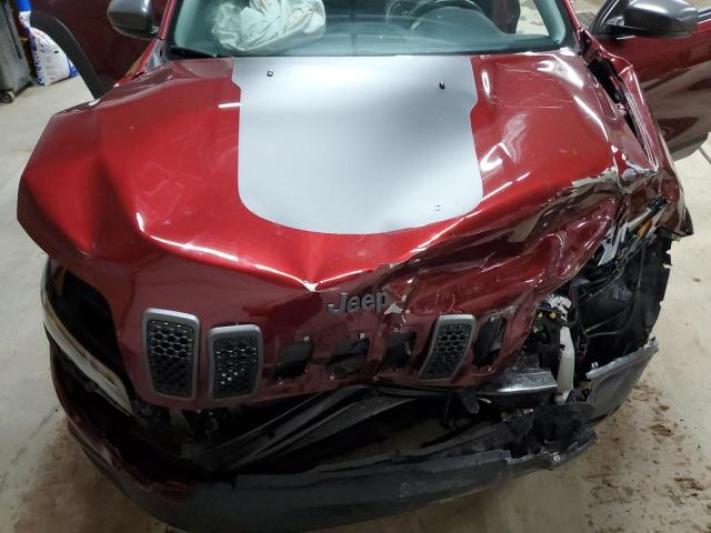 1C4PJMBXXKD192715 - 2019 JEEP CHEROKEE TRAILHAWK RED photo 12