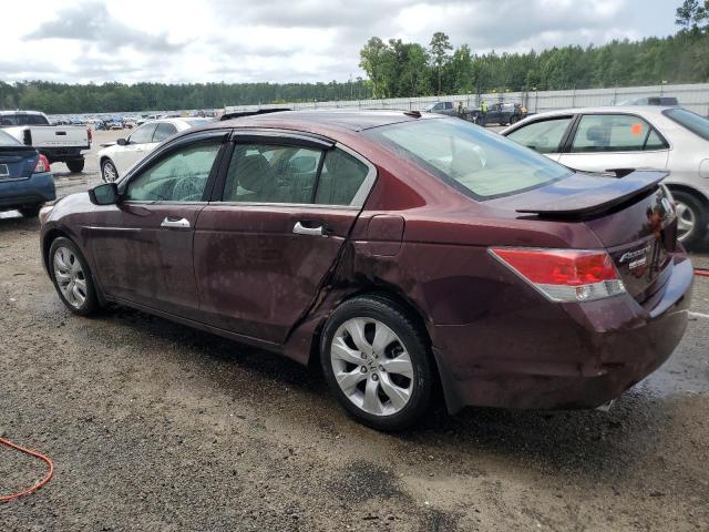 5KBCP3F87AB009614 - 2010 HONDA ACCORD EXL BURGUNDY photo 2