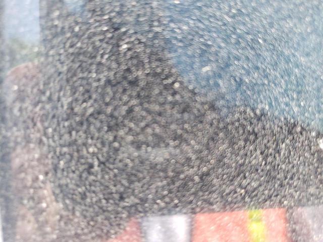 1GCNCPEX4DZ142896 - 2013 CHEVROLET SILVERADO C1500 白色 照片 10