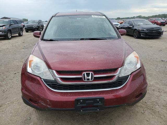 JHLRE4H72AC011733 - 2010 HONDA CR-V EXL RED photo 5