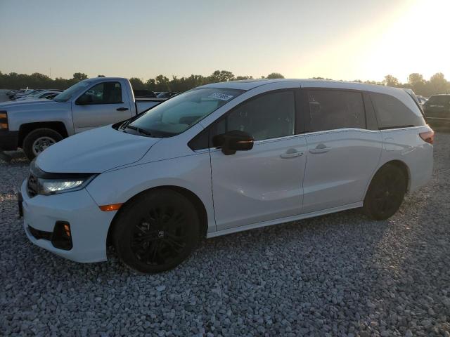 2025 HONDA ODYSSEY SPORT-L, null
