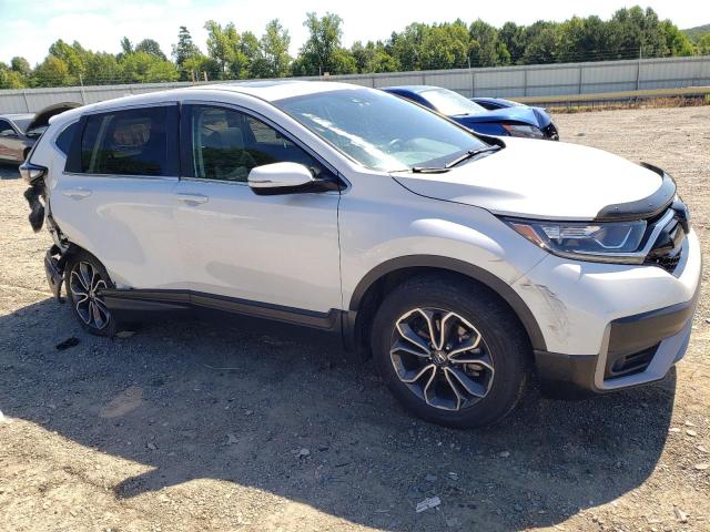 5J6RW2H52LL040465 - 2020 HONDA CR-V EX WHITE photo 4