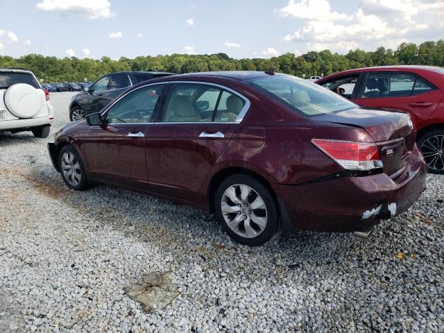 1HGCP36819A038837 - 2009 HONDA ACCORD EXL BURGUNDY photo 2